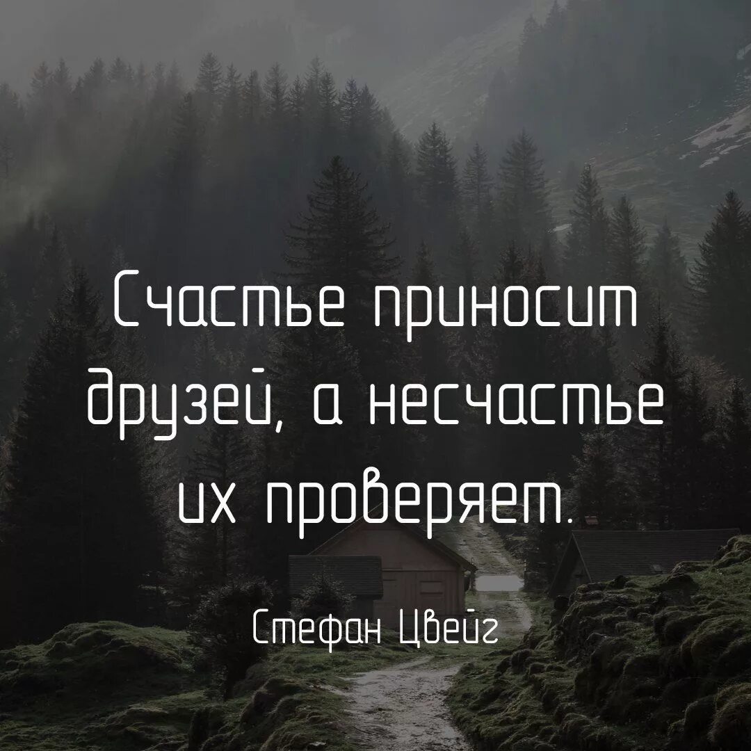 Цитаты со смыслом. Мудрые цитаты. Цитаты про дружбу со смыслом. Высказывания о дружбе.