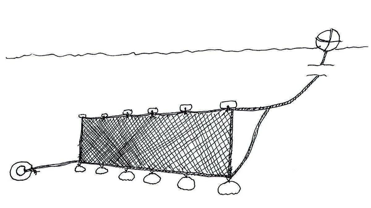 Способы лова. Финская ЛОВУШКА катиска. Снасть дорожка рыболовная. Сетевая дорожка для рыбной ловли. Сеть на резинке для рыбалки.