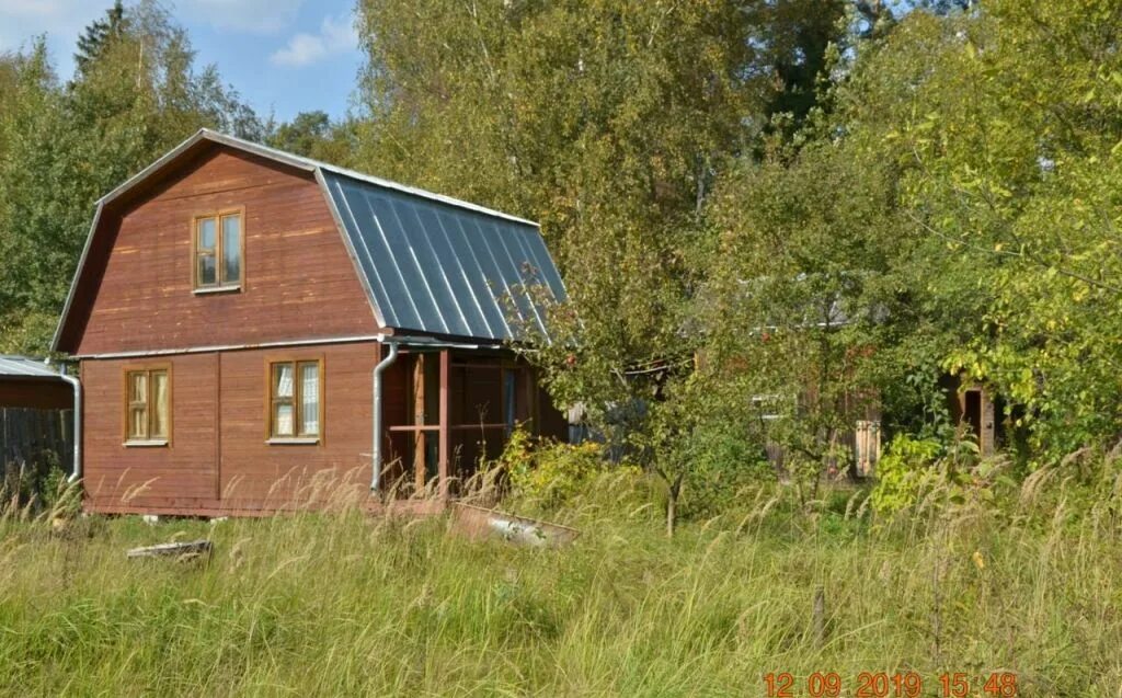 Дача электрик снт. Снт ивантеевка. Снт ивантеевка. Снт заозерный ивантеевка. Снт ивушка-2 ивантеевка.