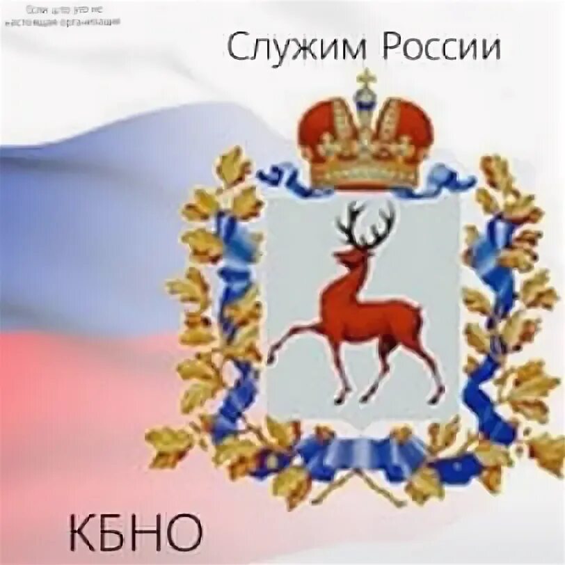 Правительство Нижегородской области герб. Герб Нижегородской области без фона. Воскресенский район Нижегородская область герб. Герб Воротынца Нижегородской области. Департамент безопасности нижегородской области