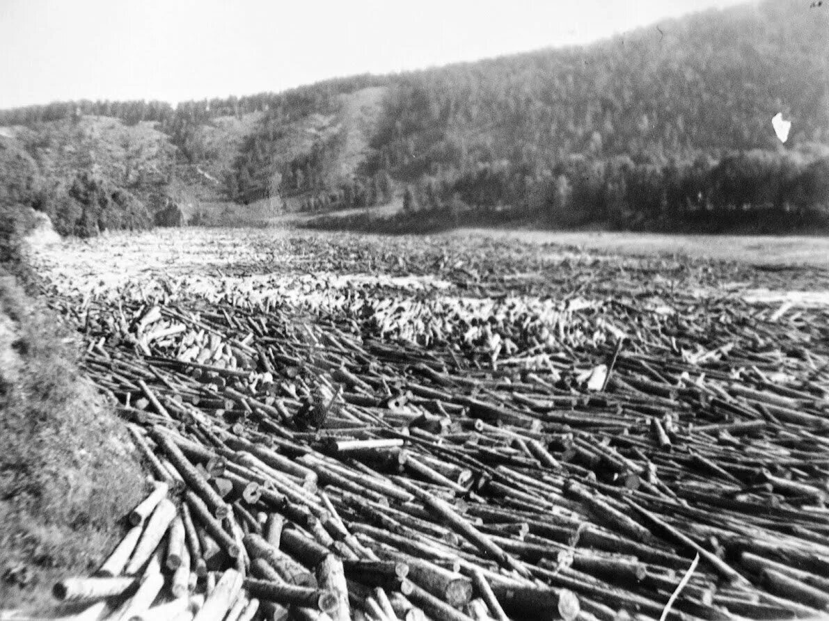 Город невольных лесоповалов. Сплав леса по реке Тулемайоки 1960 годы. Лесосплав СССР. Молевой сплав леса по рекам. Молевой Лесосплав.