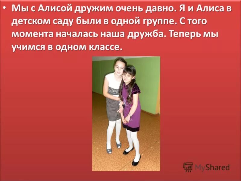 алиса дружи