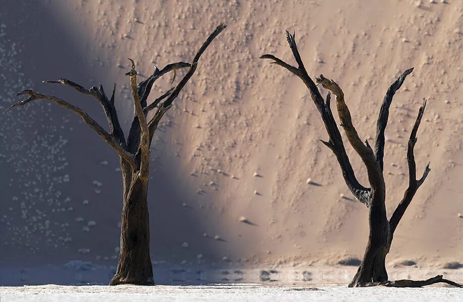 Как изменился ты сам. Намиб место где ничего нет. Нет ничего лучшего возвращаться туда. Нет ничего лучше чем возвращаться туда. Долина песков.