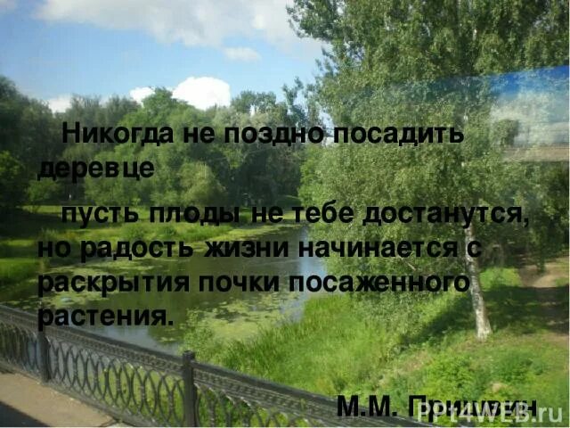 Не поздно сажать. Афоризмы про посадку деревьев. Посадить дерево афоризмы. Цитаты посади дерево. Цитаты про посадку деревьев.