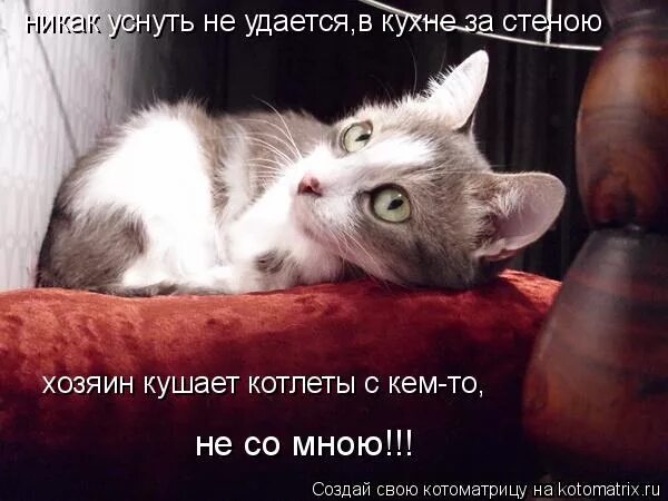 вот здесь. никак не проснусь. и никак не уснуть песня. майя кристалинская а за окном то дождь то снег текст. удастся поспать.