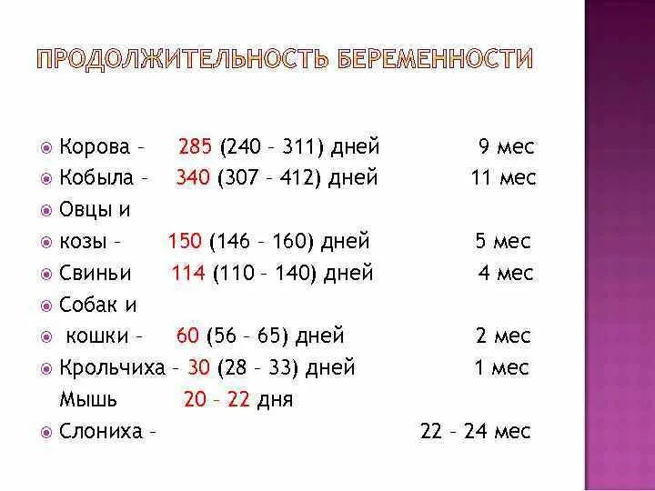 Режим дня взрослой собаки. Беременность у коровы Продолжительность. График дня для щенка. Средняя Продолжительность беременности.