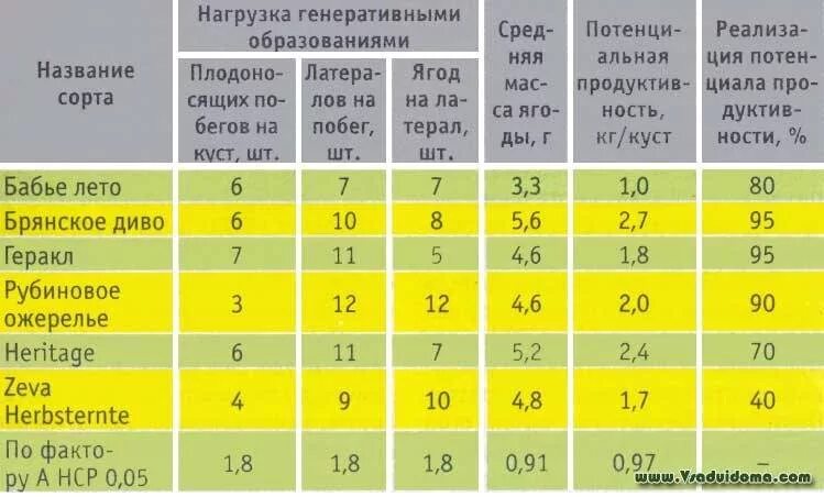 Дегустационные оценки сортов малины. Малина дегустационная оценка сортов таблица. Сорт малины с дегустационной оценкой 5 баллов. Дегустационная оценка ягод малины. Дегустационная оценка яблонь