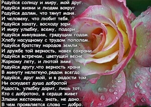 Стихотворение радуйтесь. Радуйтесь жизни стихи. Стихи о хорошем человеке. Живите и радуйтесь жизни стихи. Песня цени друзей люби