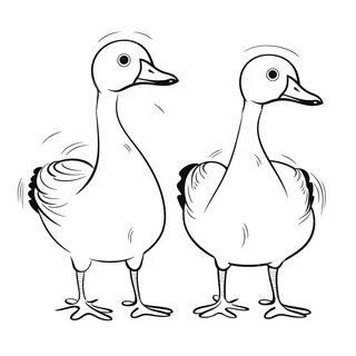 рисунок 2 мультяшных милых гуся на белом фоне раскраски векторные иллюстрации на