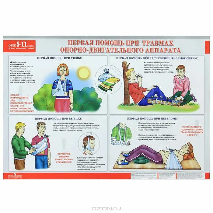основы медицинских знаний и здорового образа жизни. основы медицинских знаний и здорового образа жизни конспект. основы медицинских знаний смирнов хренников 5-11 классы. основы медицинских знаний обж. тест по теме основы медицинских знаний.