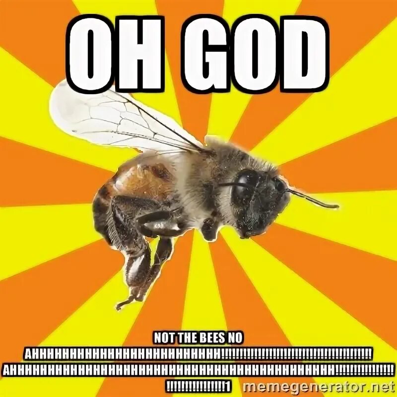 Not the bees