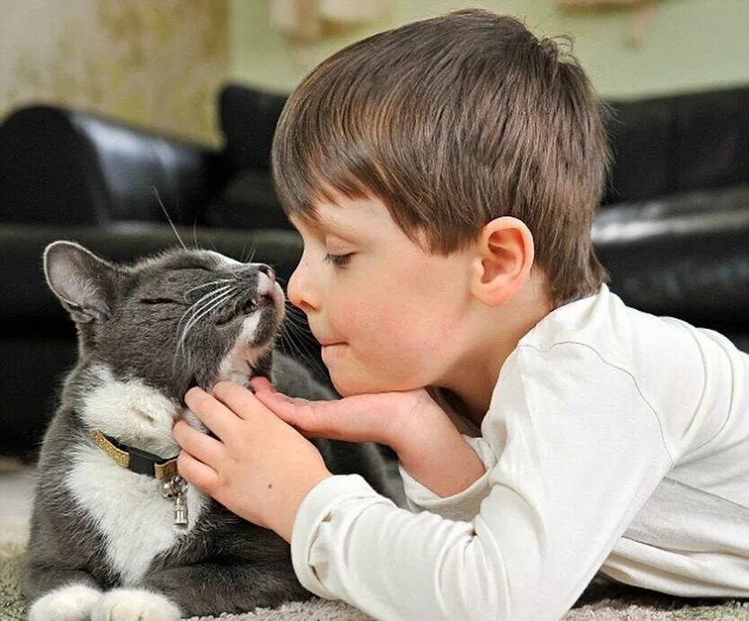 Котенок играет малыша. Кошка для детей. Кошка мальчик. Для детей. Животные.