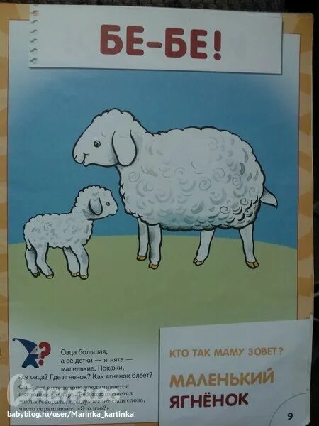 Книжки про овец для детей. Баран говорит бе. Как говорит Овечка. Как говорит баран