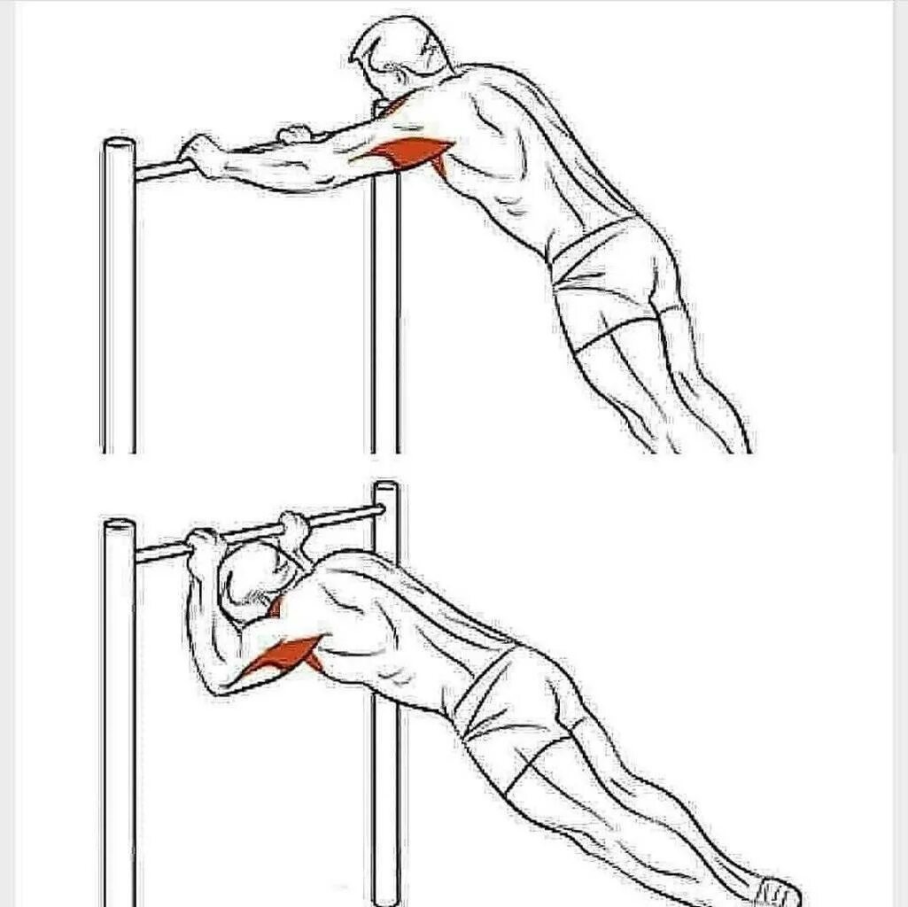 Турник с весом. Плиометрика подтягивания. Штанга для подтягивания. Подтягивания на турнике. Фрэнк медрано.