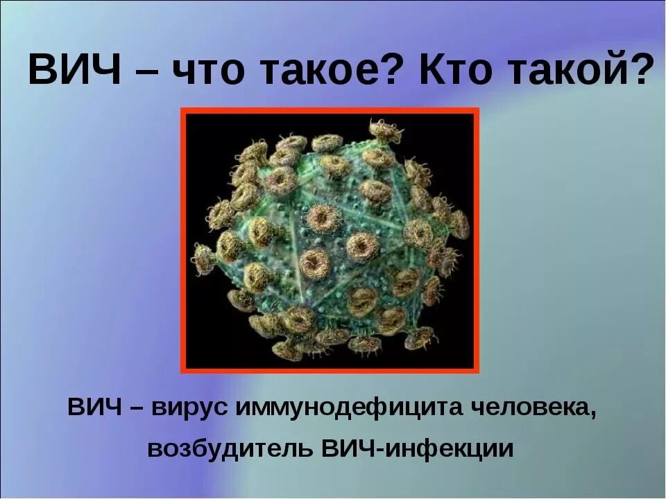 Спид вызван вирусом. Вирус СПИДА. ВИЧ возбудитель. Вирус ВИЧ возбудитель. Вирус иммунодефицита человека.