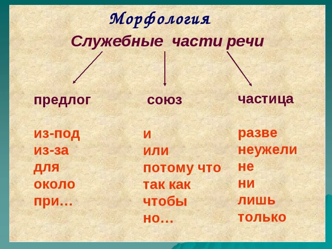 He какая частица. На это предлог или Союз или частица. Предлоги частицы и Союзы в русском языке. Но это предлог или Союз или частица. С это Союз или предлог.