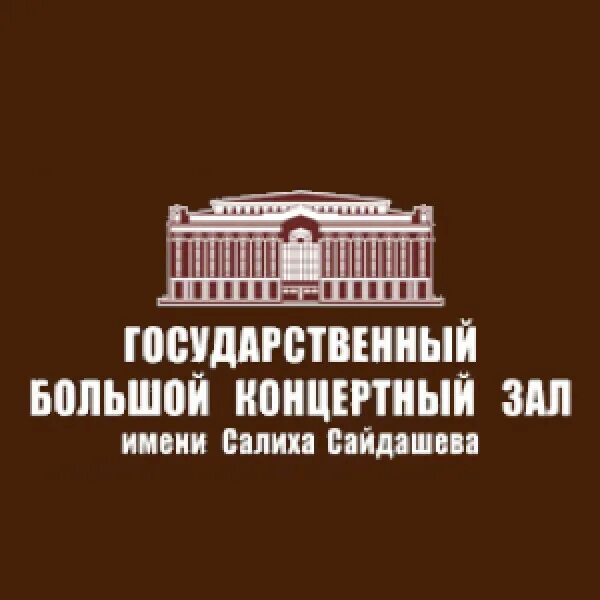 Большой государственный концертный зал. Государственный большой концертный зал имени Салиха Сайдашева. Большой концертный зал Сайдашева Казань. Салих Сайдашев Казань театр. БКЗ Сайдашева Казань схема зала.