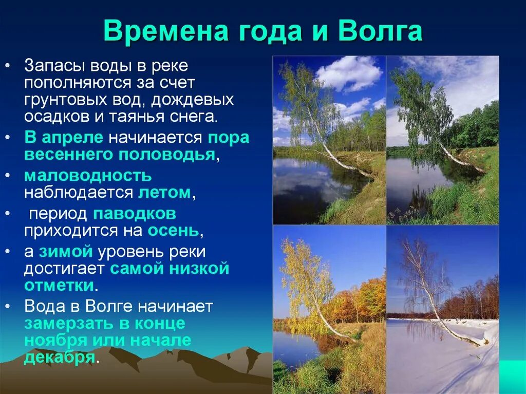 Как река волга изменяется в разные времена. Растительный мир Волги. Растения и обитатели Волги. Как Волга меняется в разные времена года. Как Волга изменяется в разные времена года.