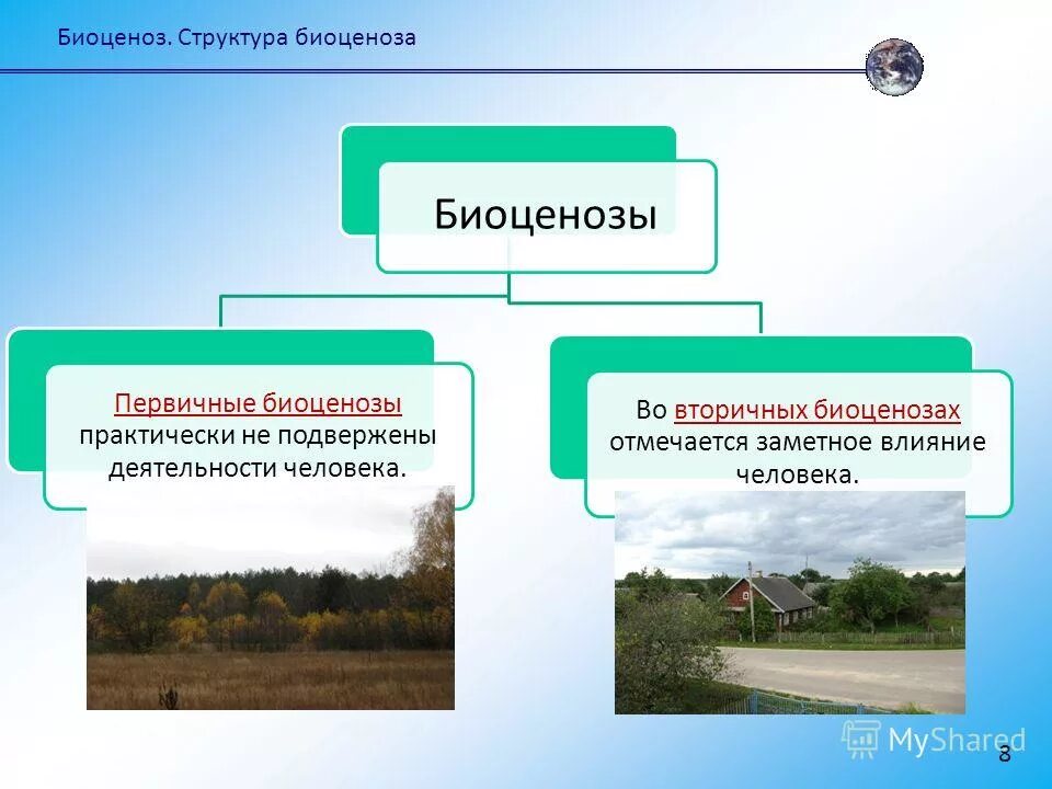 1 биоценозом называют. Биоценоз. Естественные и искусственные биоценозы. Первичные и вторичные биоценозы. Естественный биоценоз.