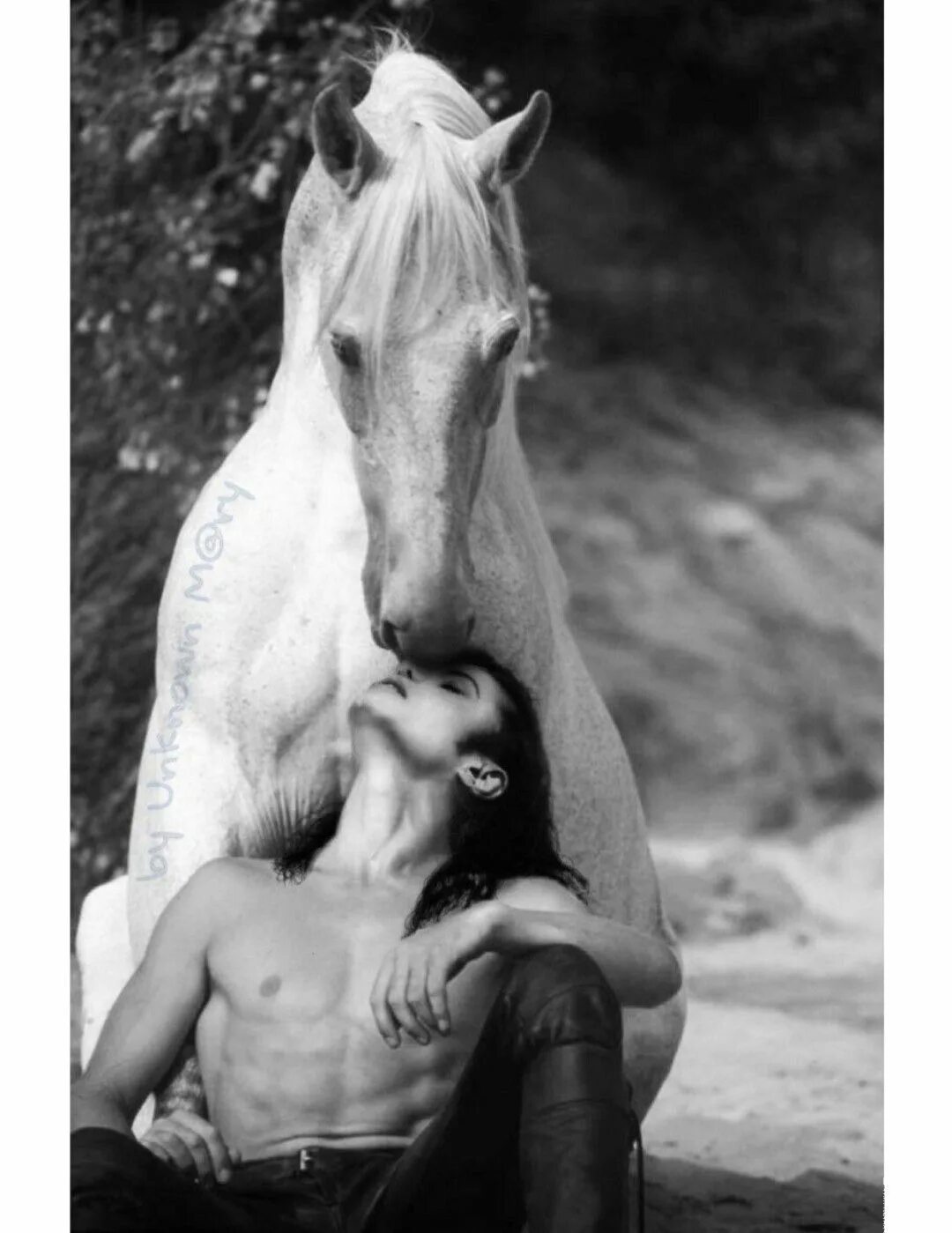 Конь мужик баб. Патрик Суэйзи на лошади. Фотосессия с лошадьми. Любовь лошадей.