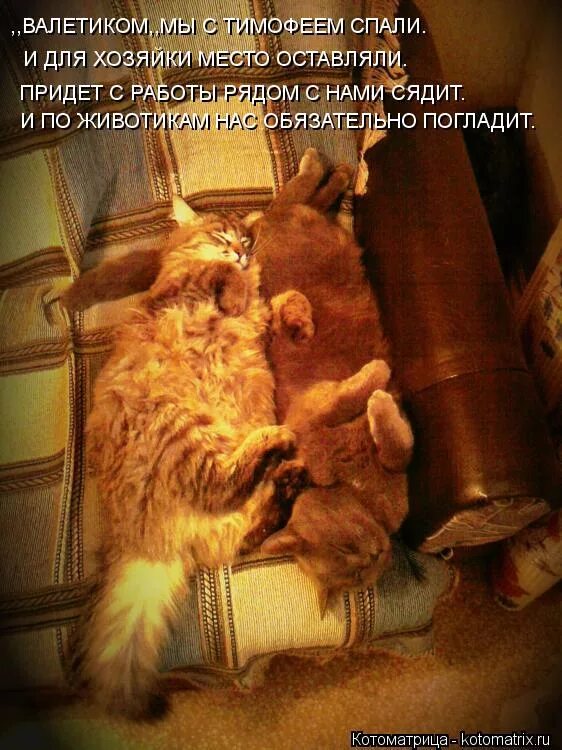 пришла с работы и уснула. поспи мышки запускай. приколы. пришла с работы и уснула. человек в кровати.