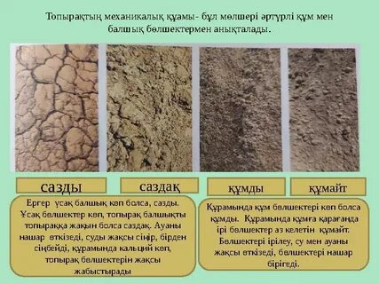 Келінімен топтық секс порно