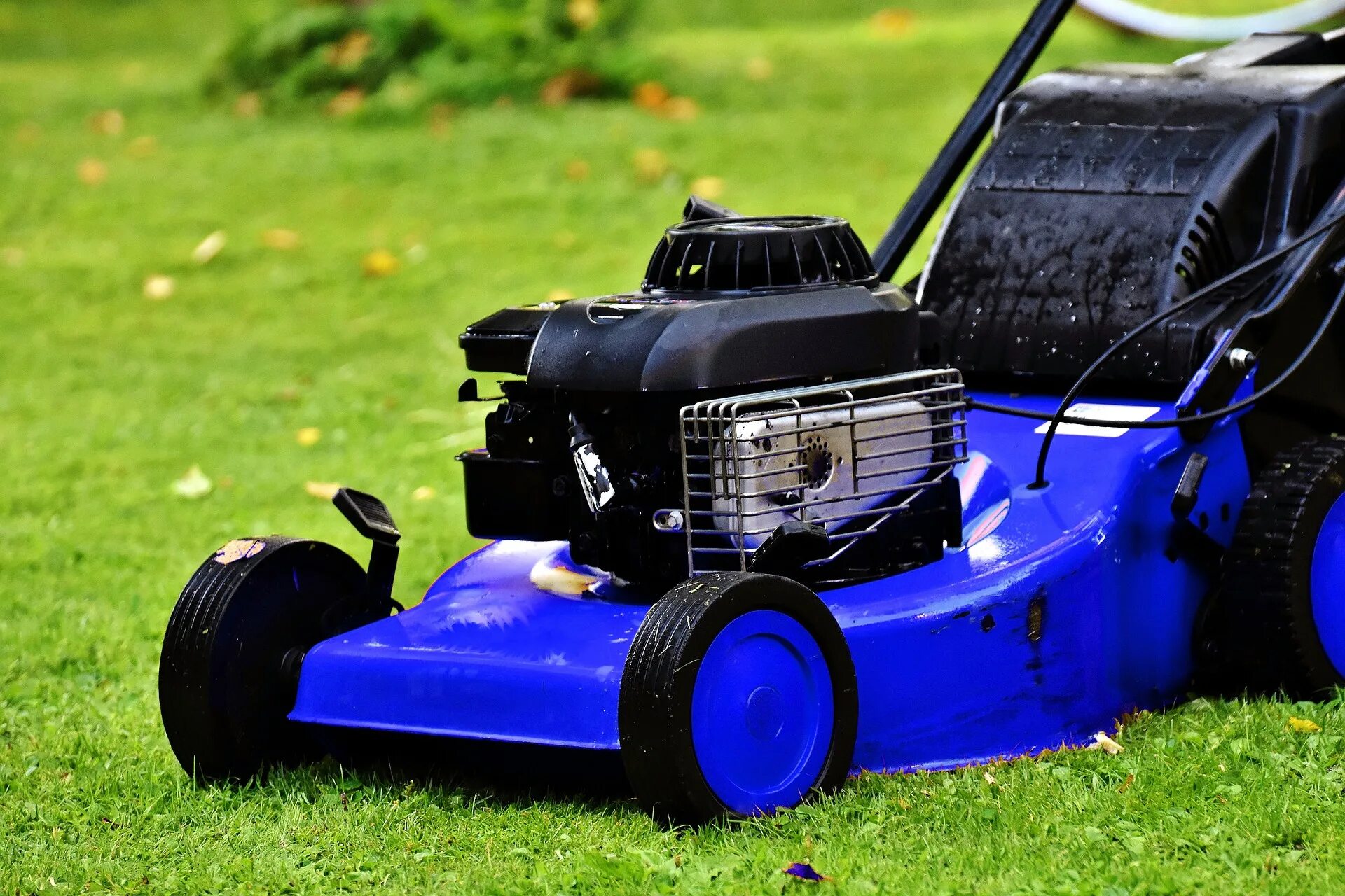 Lawn mower. Газонокосилка. Газонокосилка на газоне. Газонокосилка синяя. Бензиновая газонокосилка лужайка.