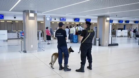 Пограничная служба аэропорт домодедово