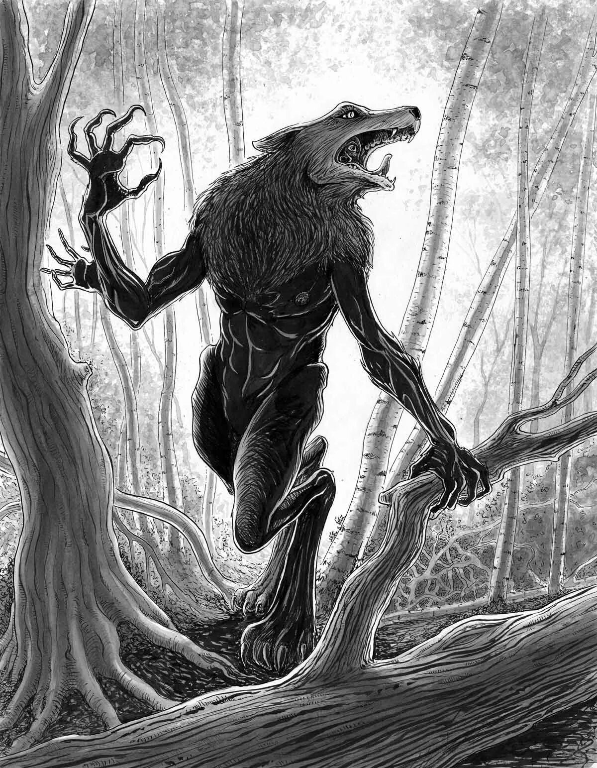 Skinwalker кто это