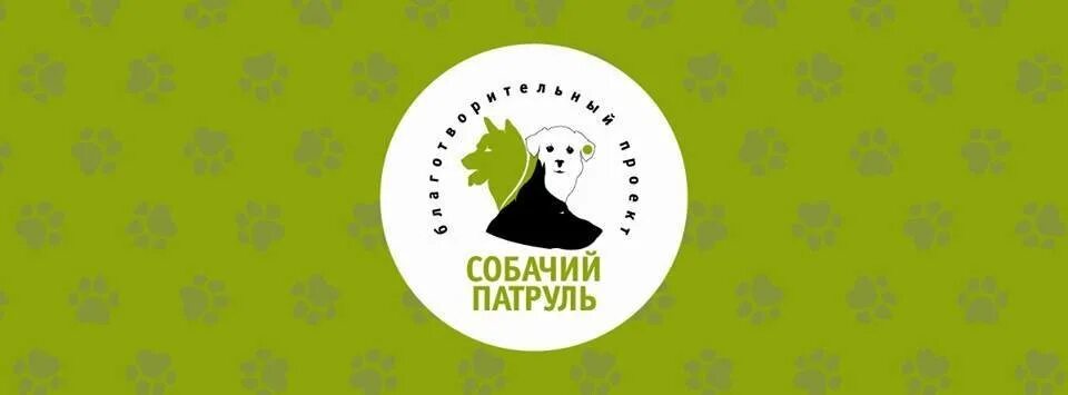 Собачий патруль ростов на дону. Собачий патруль ростов на дону. Собачий патруль ростов. Собачий патруль ростов. Собачий патруль.