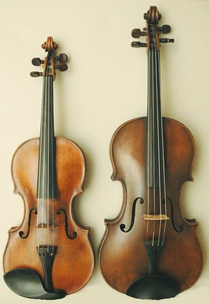 Альт струнные смычковые музыкальные инструменты. Viola Альт. Альт (Виола) Viola. Альт инструмент музыкальный струнный. Виды скрипичных