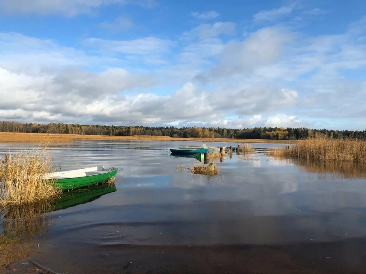 Большое поле выборгский район. Поселок большое поле выборгского района фото. Поселка большое поле. Большое поле выборгский район ленинградской области. Большое поле выборгский район.