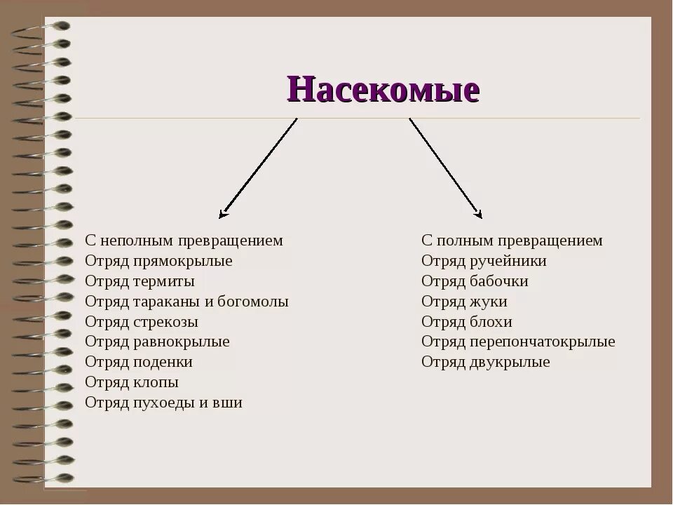 Классы насекомых с полным превращением. Насекомые с полным и неполным превращением таблица. отряды насекомых с полным и неполным превращением. примеры насекомых с полным и неполным превращением. развитие с полным и неполным превращением примеры.