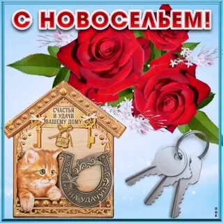 С новосельем картинки прикольные