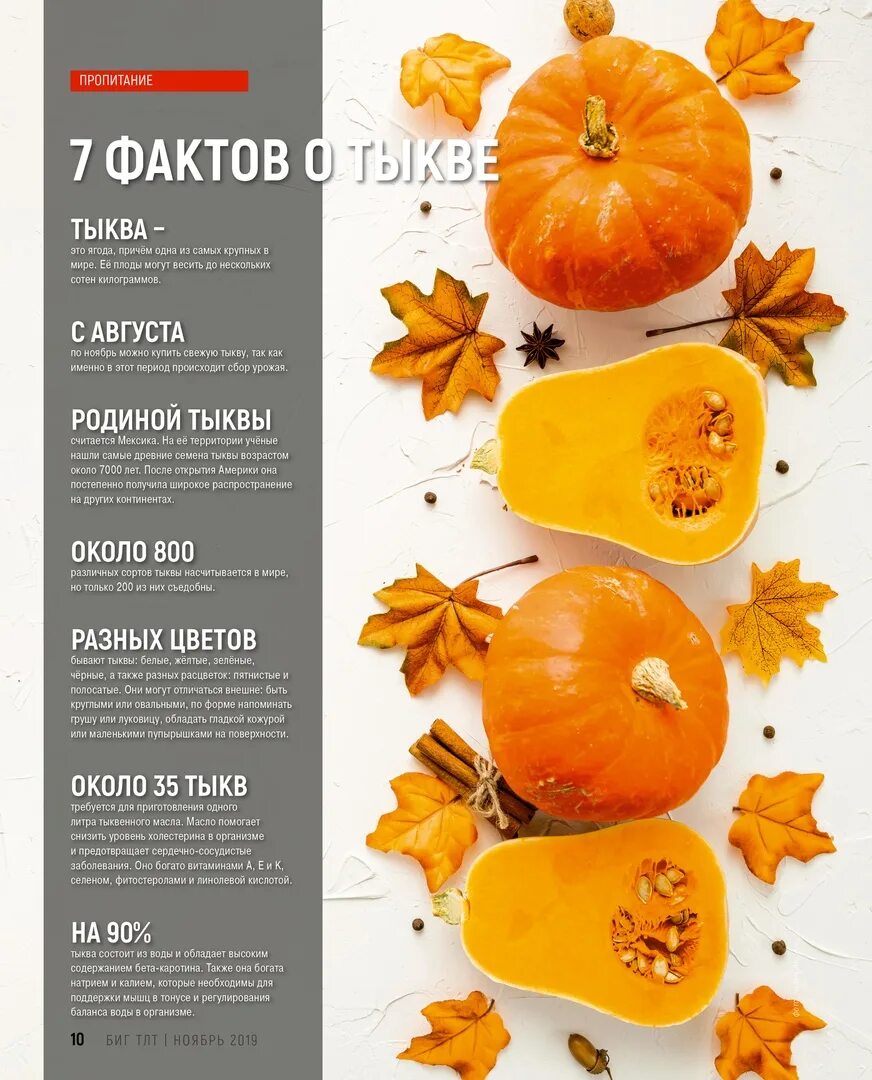 Сколько кг в тыкве. Факты о тыкве. интересное о тыкве. тыква инфографика. факты о тыкве для детей.