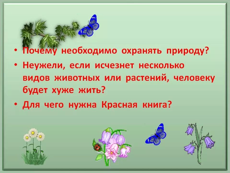 Почему люди должны охранять природу. Зачем надо охранять природу. Почему надо охранять природу. Почему нужно беречь природу. Почему мы должны охранять природу.