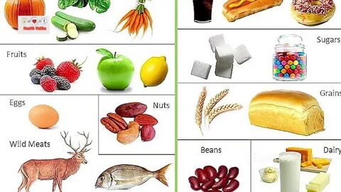 Dairy meat fruit vegetable