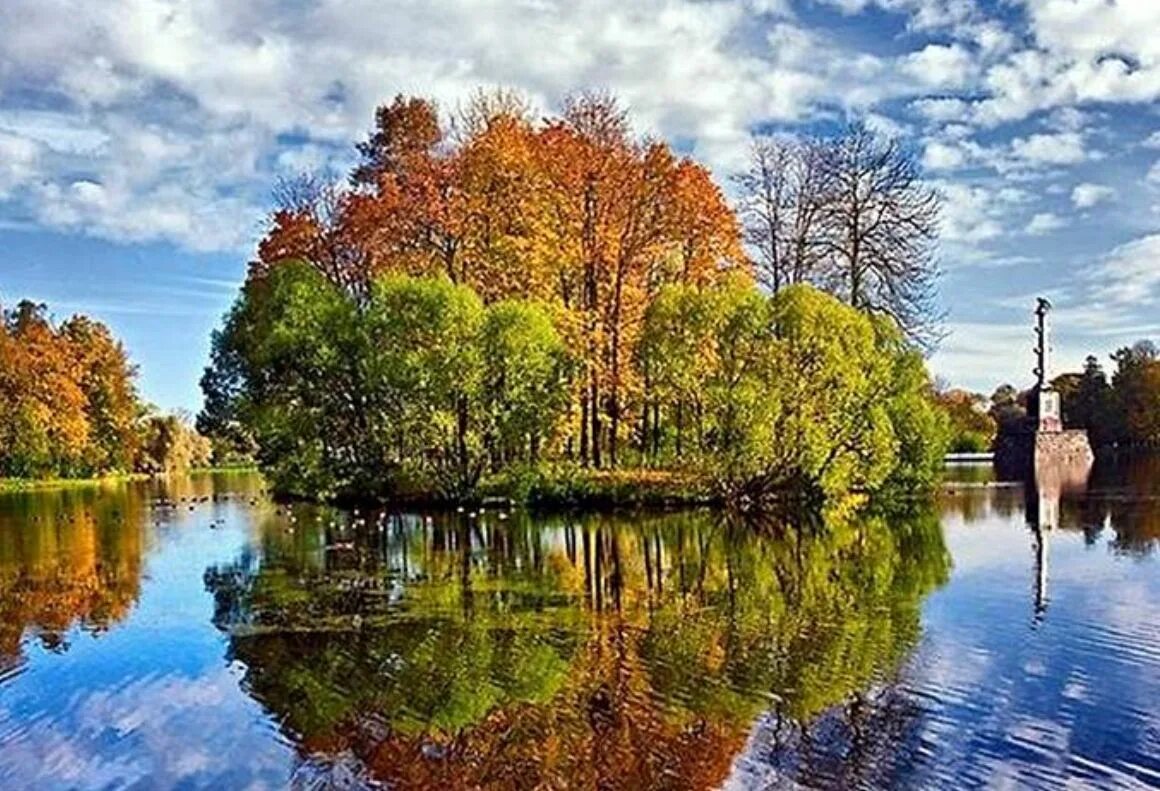Деревья смотрят в воду. Отражение в воде. Отражение природы. Пейзаж с отражением в воде. Красивое отражение в воде.