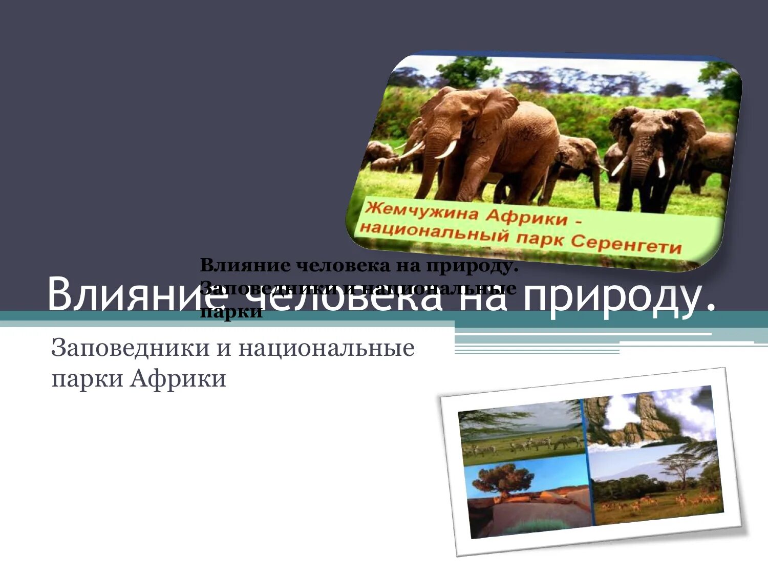 Африка влияние на природу. Влияние человека на природу заповедники Африки. Заповедники и национальные парки Африки. Влияние человека на природу заповедники и национальные парки. Влияние человека на природу Африки заповедники и национальные парки.