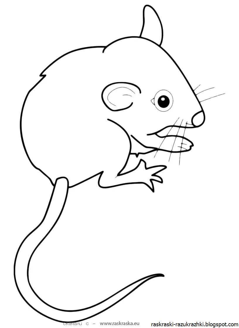 Раскраска мышка. Мышь раскраска для детей. Мышь рисунок. Раскраска мышонок. Раскраска мышь распечатать