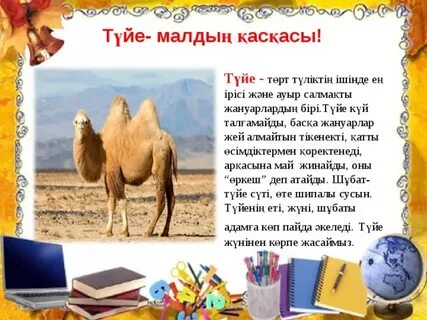 Сексуалдық стриптиз бейне