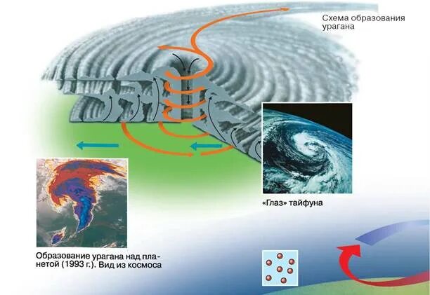 Схема тайфуна. Схема образования урагана.