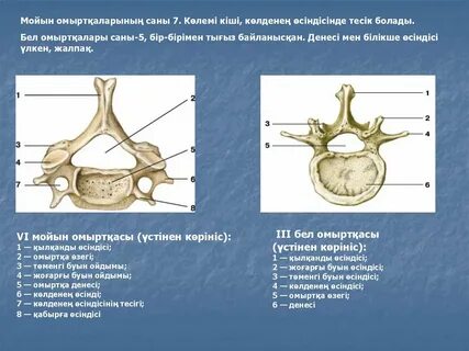 Жаттығу велосипедінде қыздар