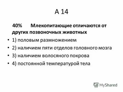 Признаки отличающие млекопитающих от других животных