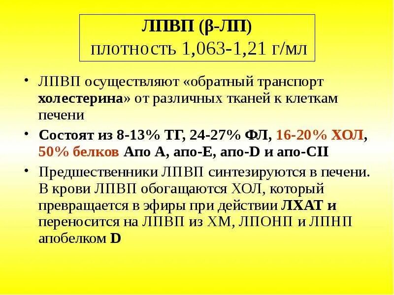 Липопротеиды низкой плотности у мужчин. Липопротеиды высокой плотности. Липопротеиды низкой плотности и высокой плотности. Липопротеинов высокой плотности. Холестерин липопротеинов высокой.