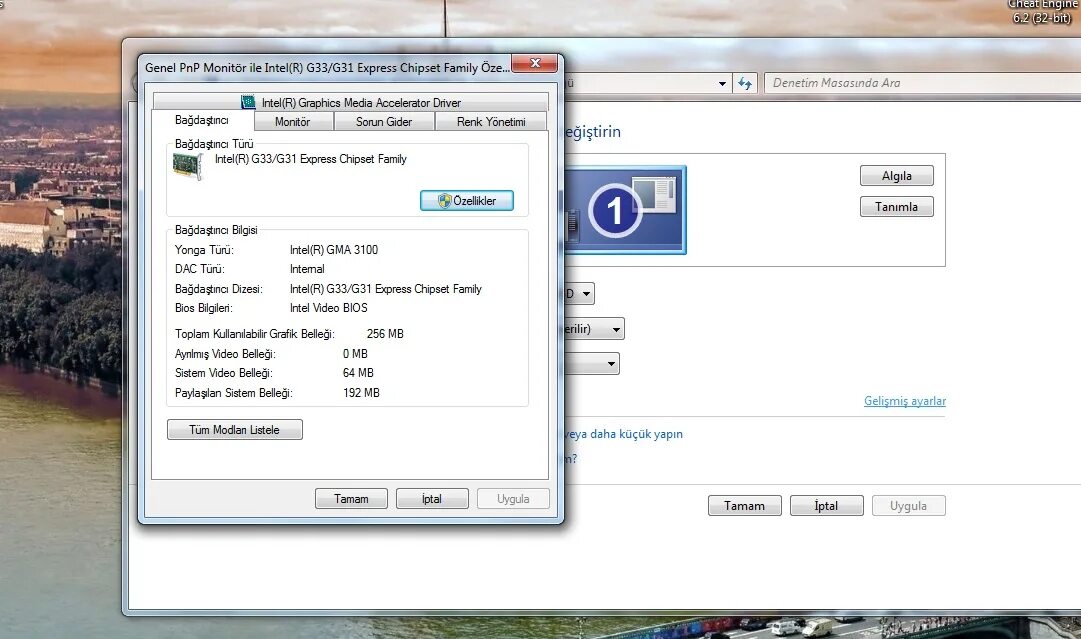 Intel chipset family driver. Видеокарта Intel r g33 g31 Express Chipset Family. Intel(r) g33/g31 Express Chipset Family (256 МБ). Семейство наборов микросхем Intel g33/g31 Express. Intel g33/g31 Express Chipset Family видеокарта.