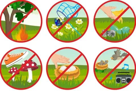 Знаки что нельзя делать в лесу запрещающие знаки картинки для детей