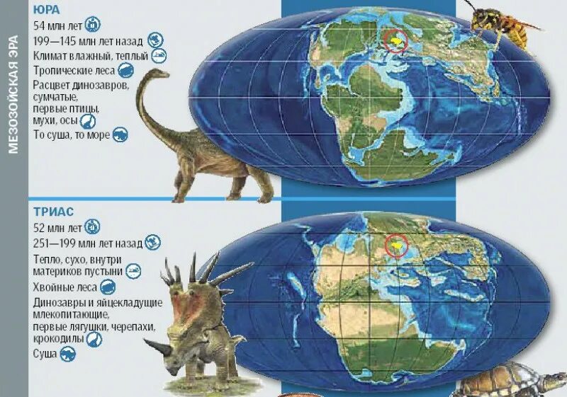 Как выглядела земля во времена динозавров. Карта земли в Юрский период. Карта материков в Юрский период. Материки во времена динозавров.