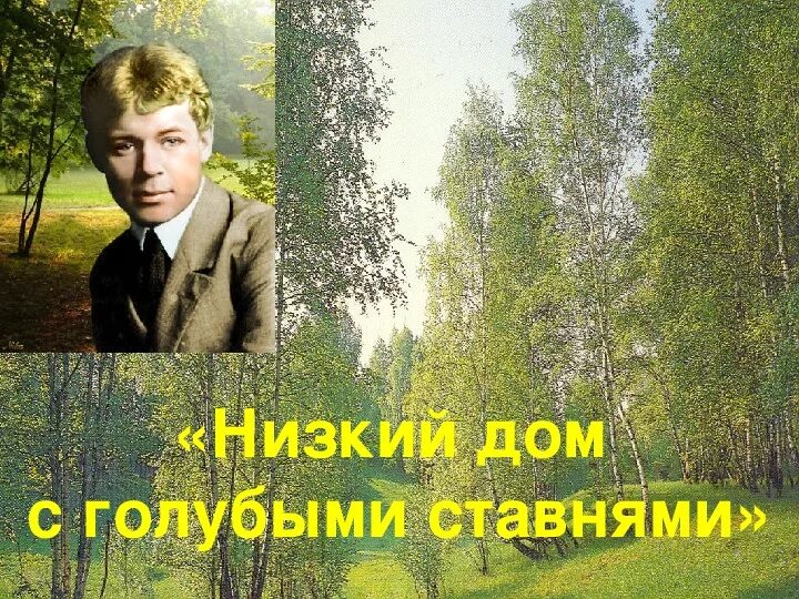 Есенин низкий дом с голубыми ставнями слушать. Низкий дом с голубыми ставнями. Есенин домик с голубыми ставнями. Стих Есенина низкий дом с голубыми ставнями. Рисунок к стихотворению Есенина низкий дом с голубыми ставнями.