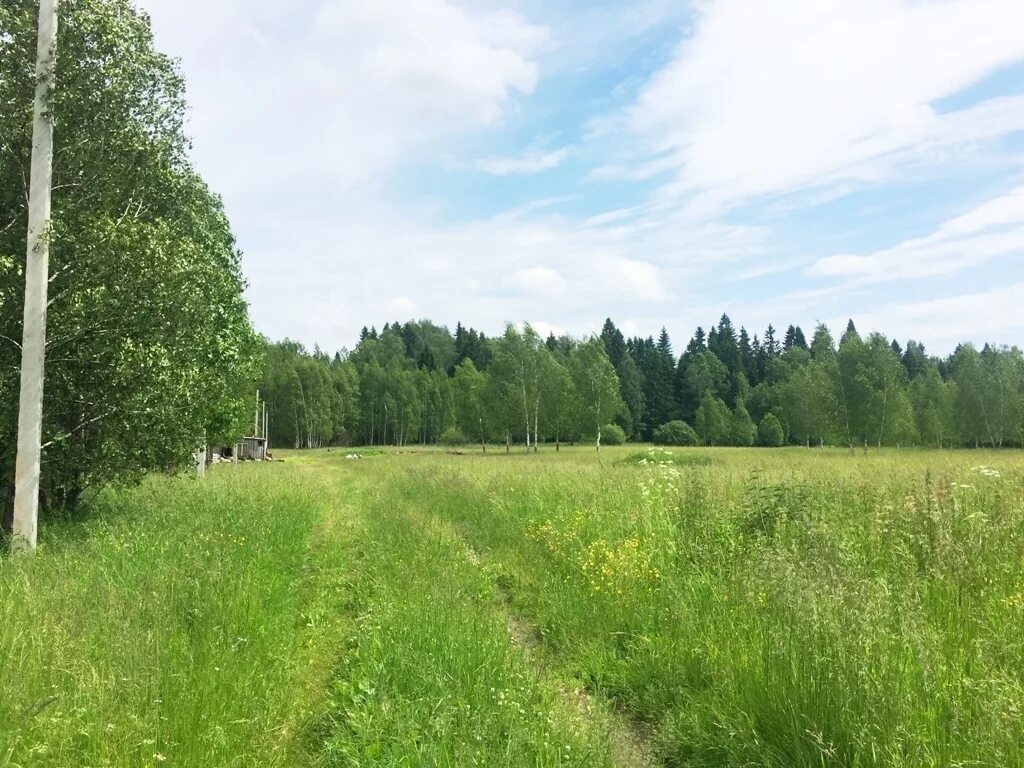 Деревня Кекишево Дмитровский район. Земельный участок в мае в деревне Дмитровский район. Как появилась деревня Кекишево. Кекишево деревня новая дорога. Купить землю в дмитровском